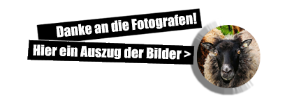 Auszüge der verwendeten Bilder